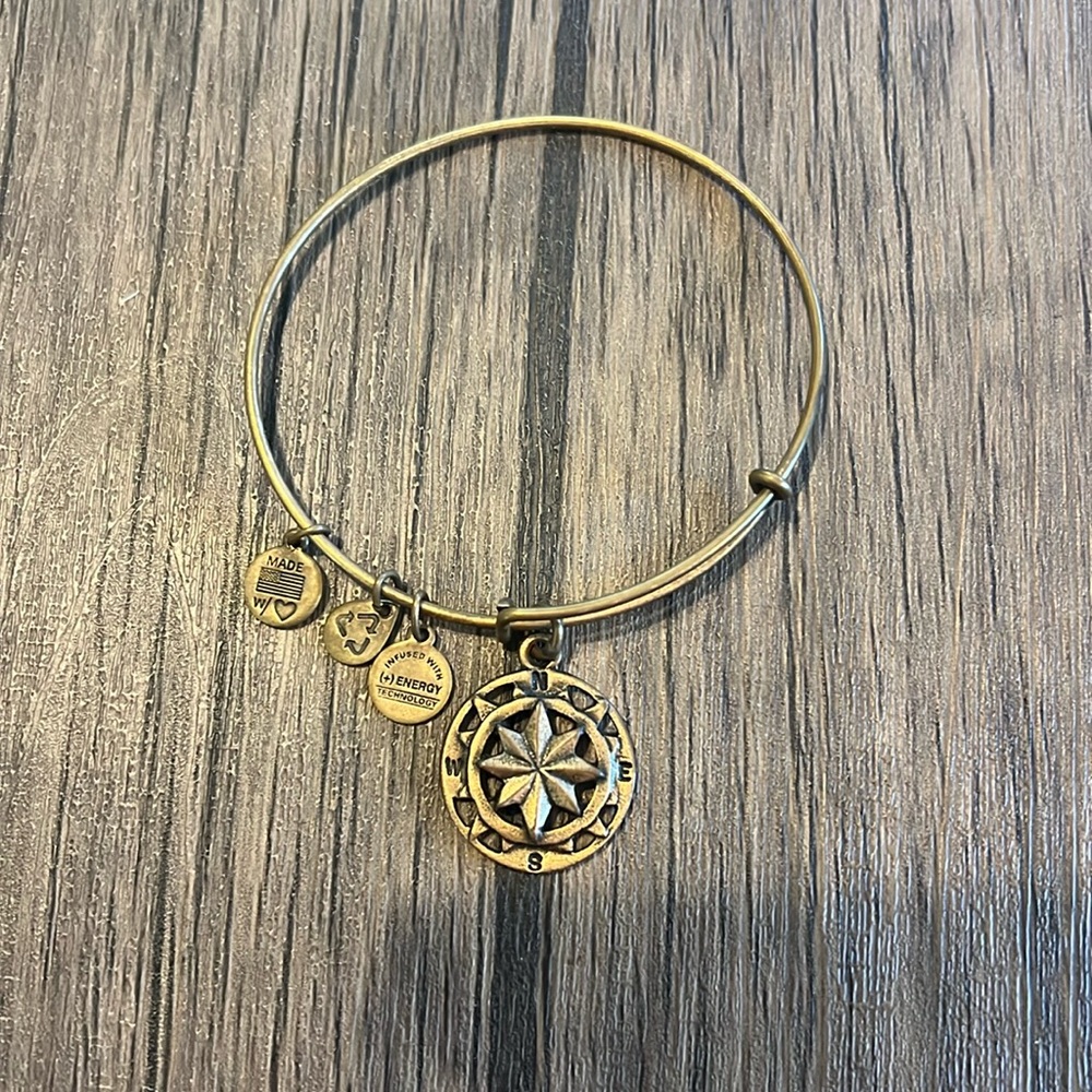 Alex and Ani Bronze/Gold color Compass Braclet